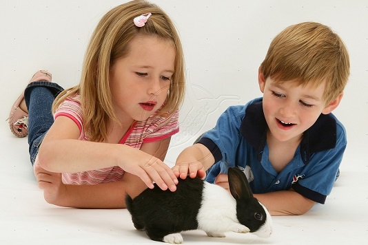 children with dutch rabbit.jpg